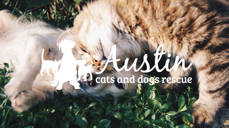 Web Design: Austin Cats and Dogs Rescue